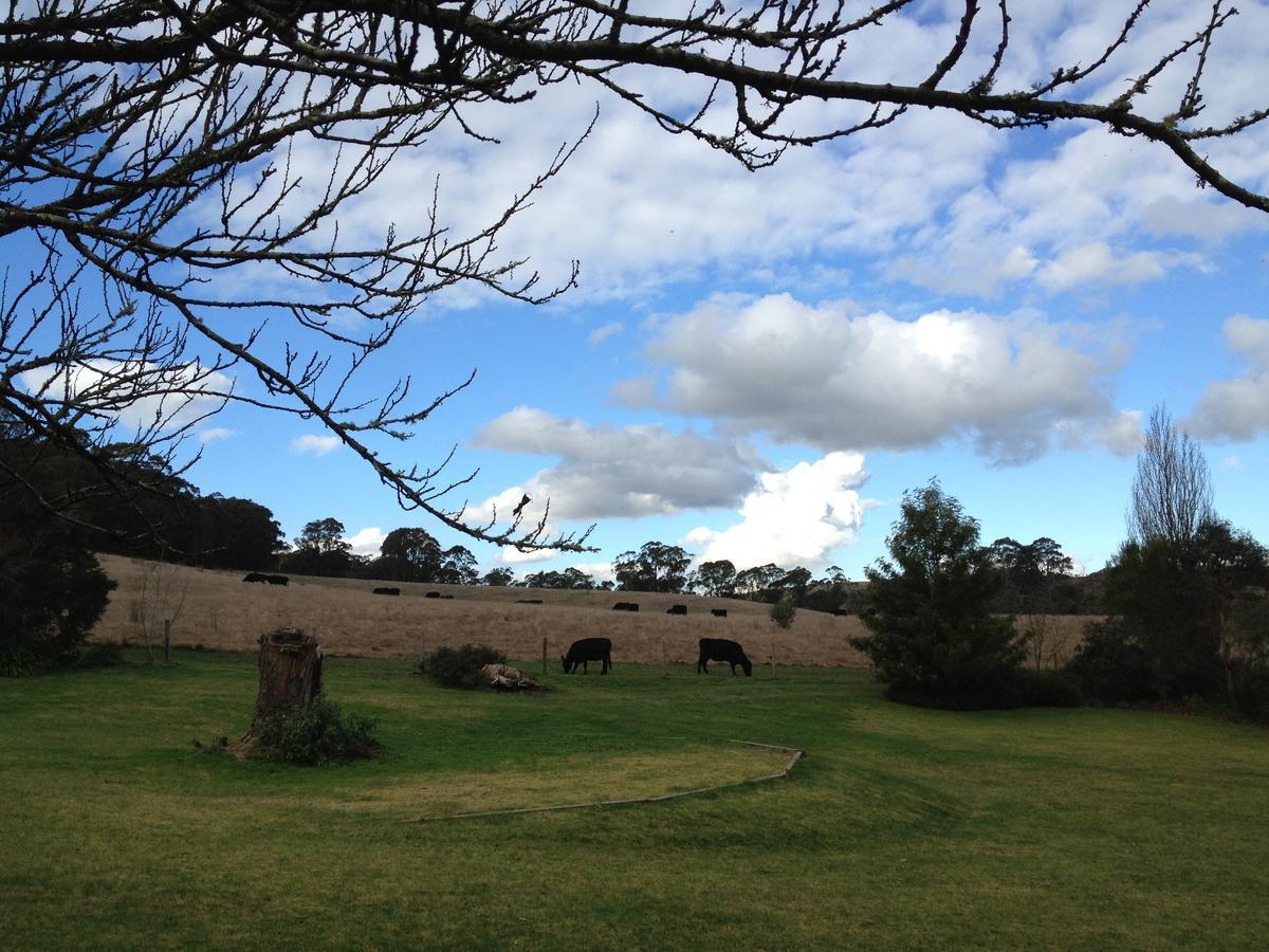 Brigadoon Cottages Haunted Hills Exterior photo